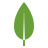 Mongo Db image